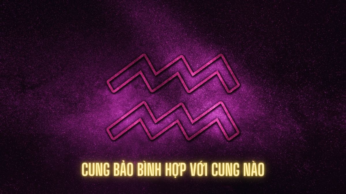 cung bảo bình hợp với cung nào